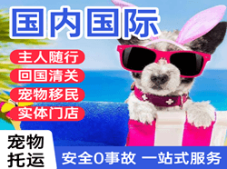 漠河古莲航空快递国际宠物托运 【国